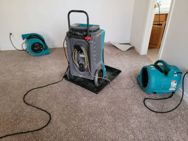 Best Flood damage cleanup  in Iselin, NJ