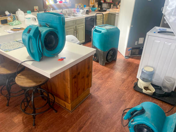 Carpet water damage restoration in NJ
