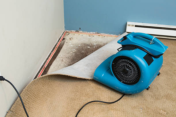 Best Flood restoration services  in Iselin, NJ