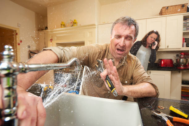 Best Water damage contractors near me  in Iselin, NJ